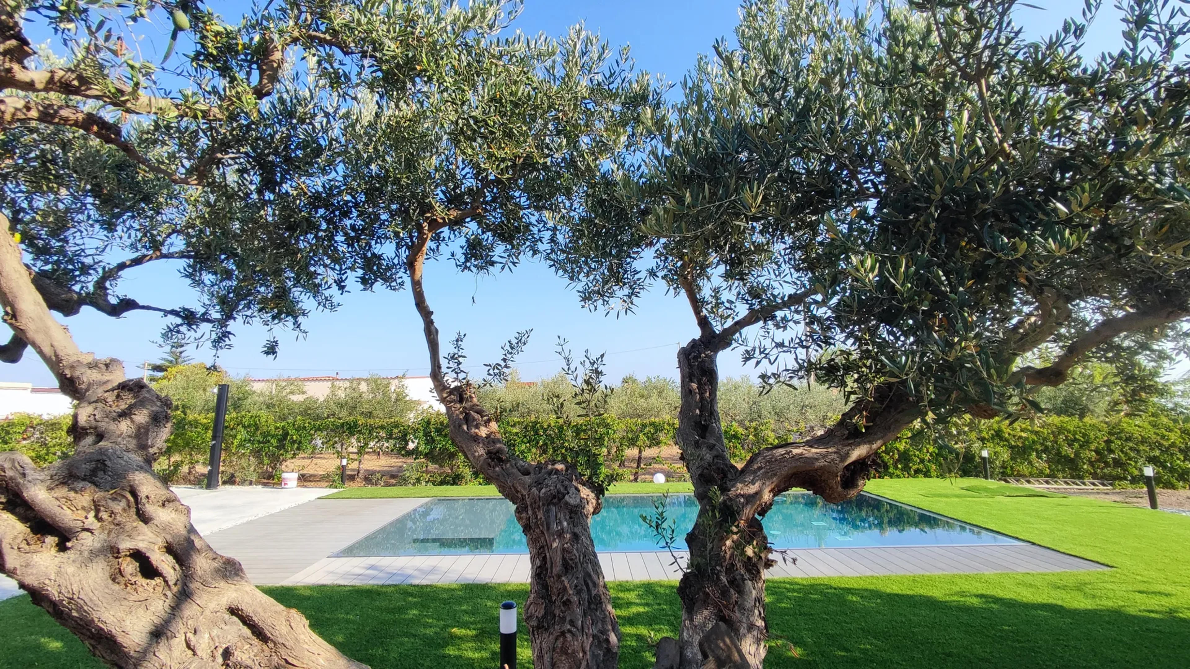 Villa du Cori 💕 piscina e relax — Alcamo (foto 27)