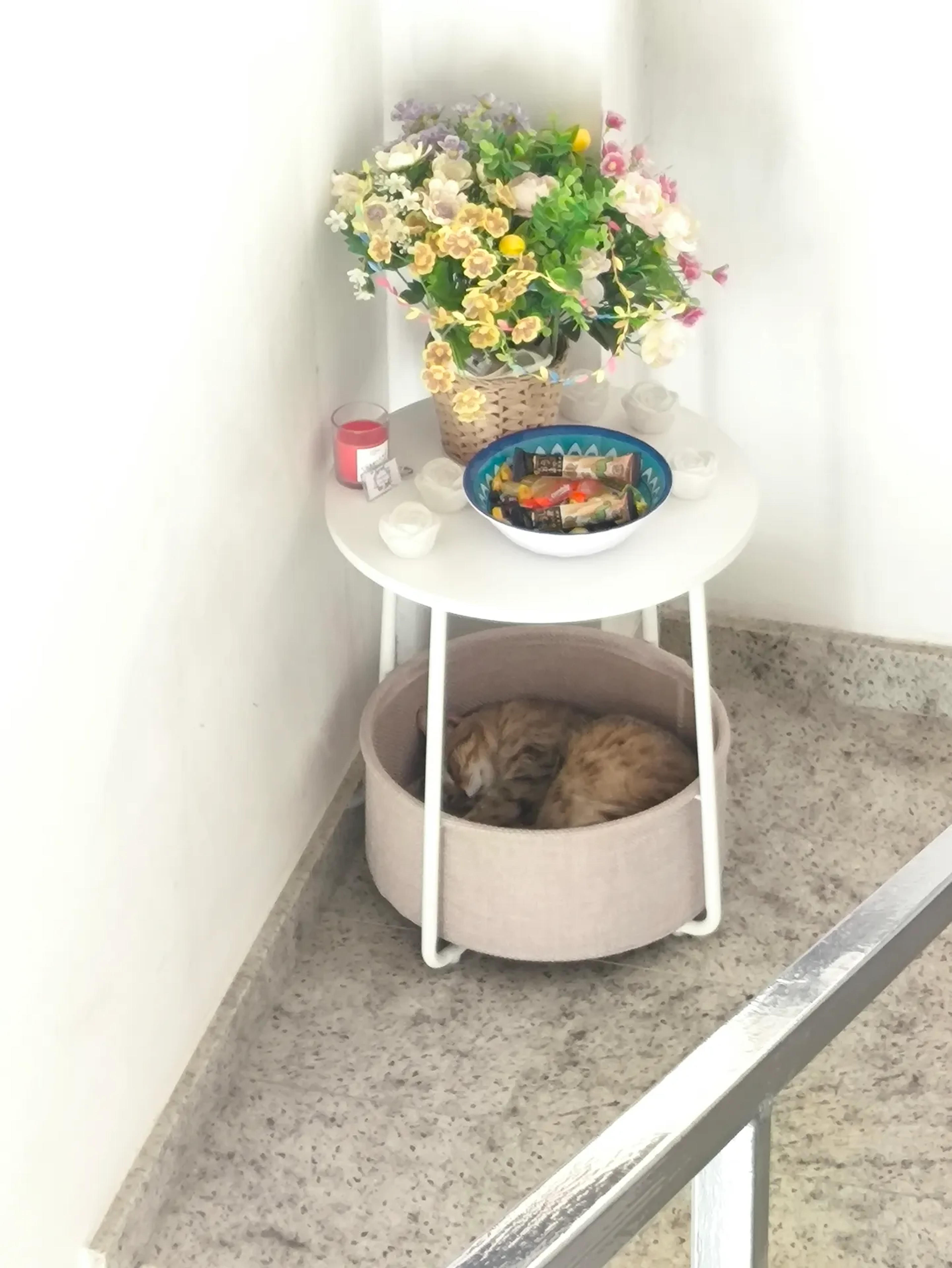 🌸Shine Flowers Room 🌸 — Scordia (foto 10)