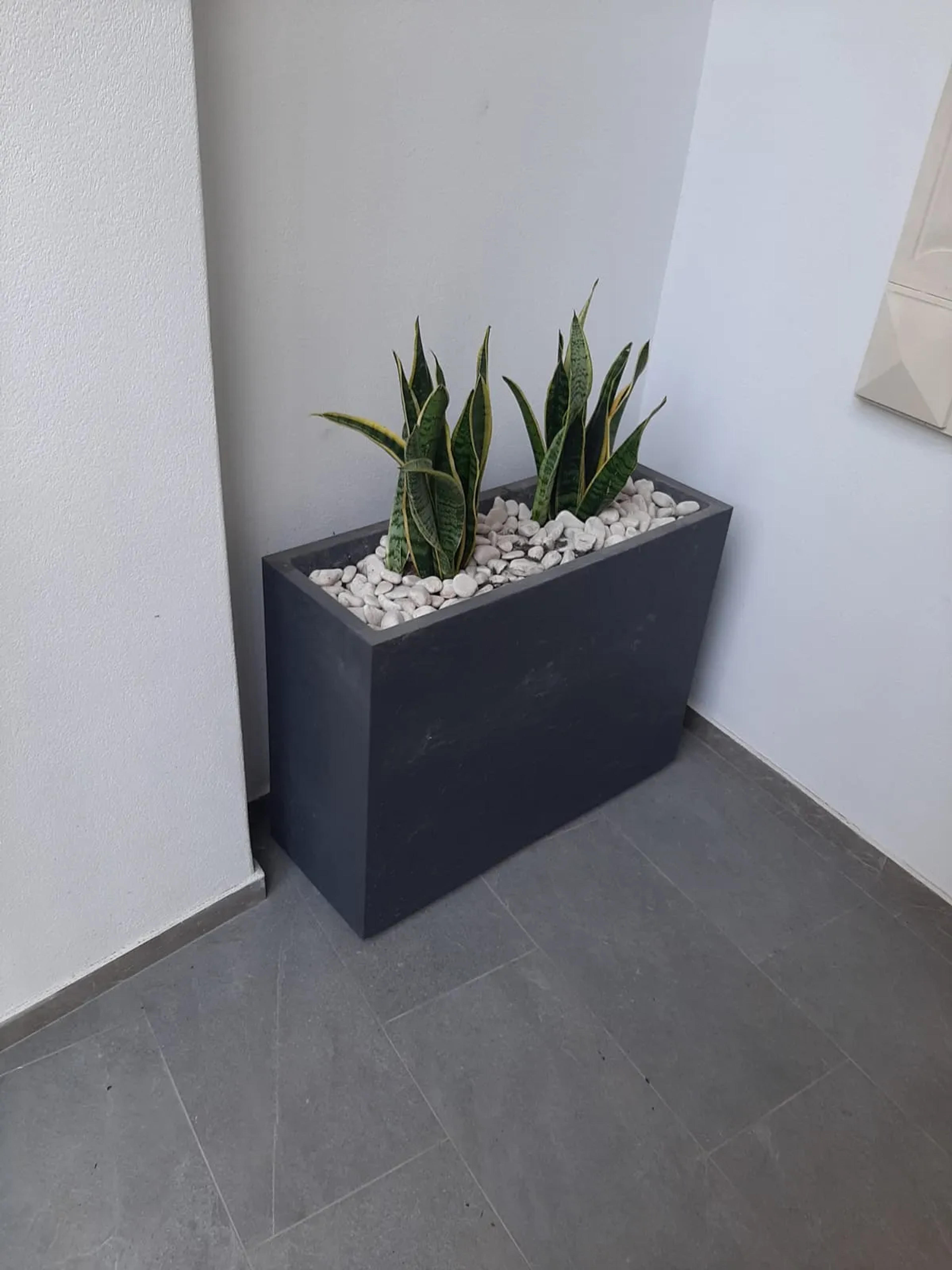 Lella Guest House — Catania (foto 7)