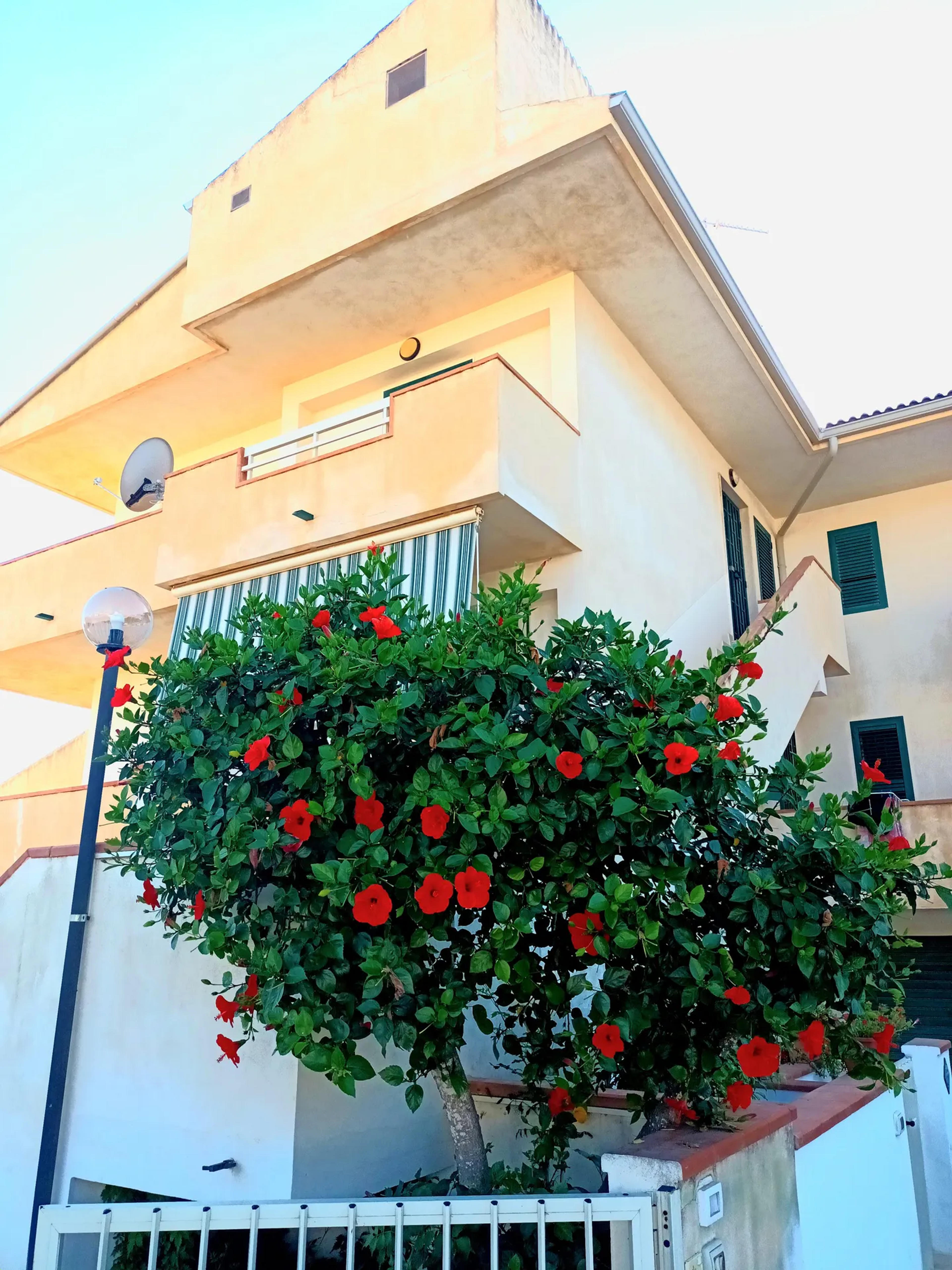 Blue Sea Apartment — Ragusa (foto 7)