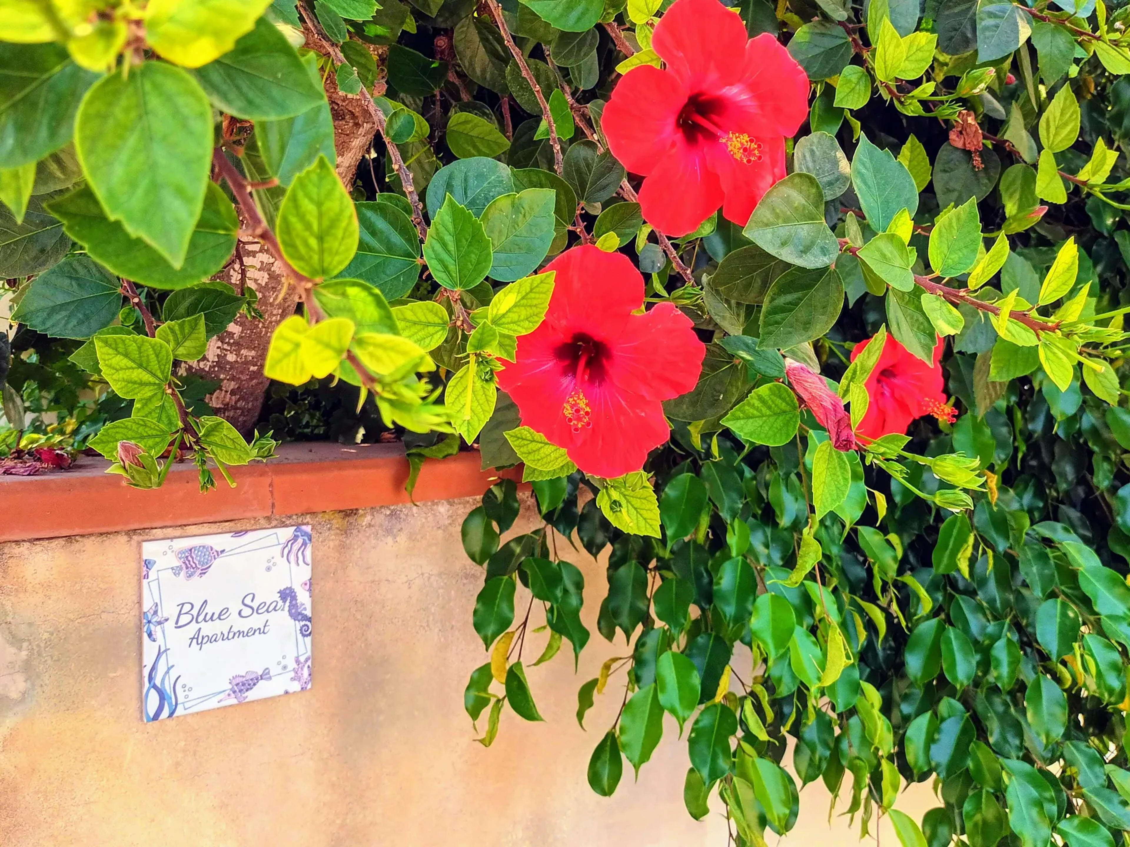 Blue Sea Apartment — Ragusa (foto 9)