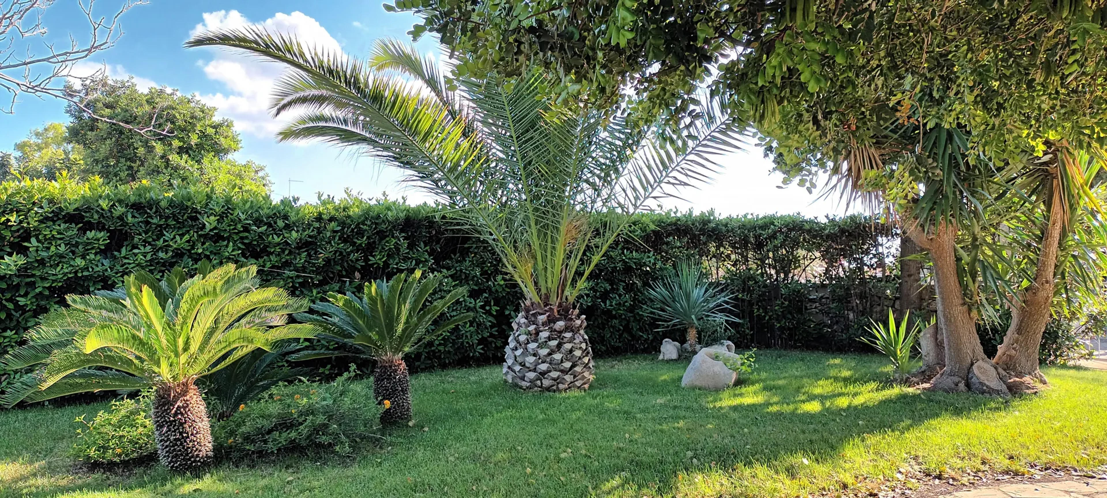 Scicli Country House Il Carrubo — Scicli (foto 4)