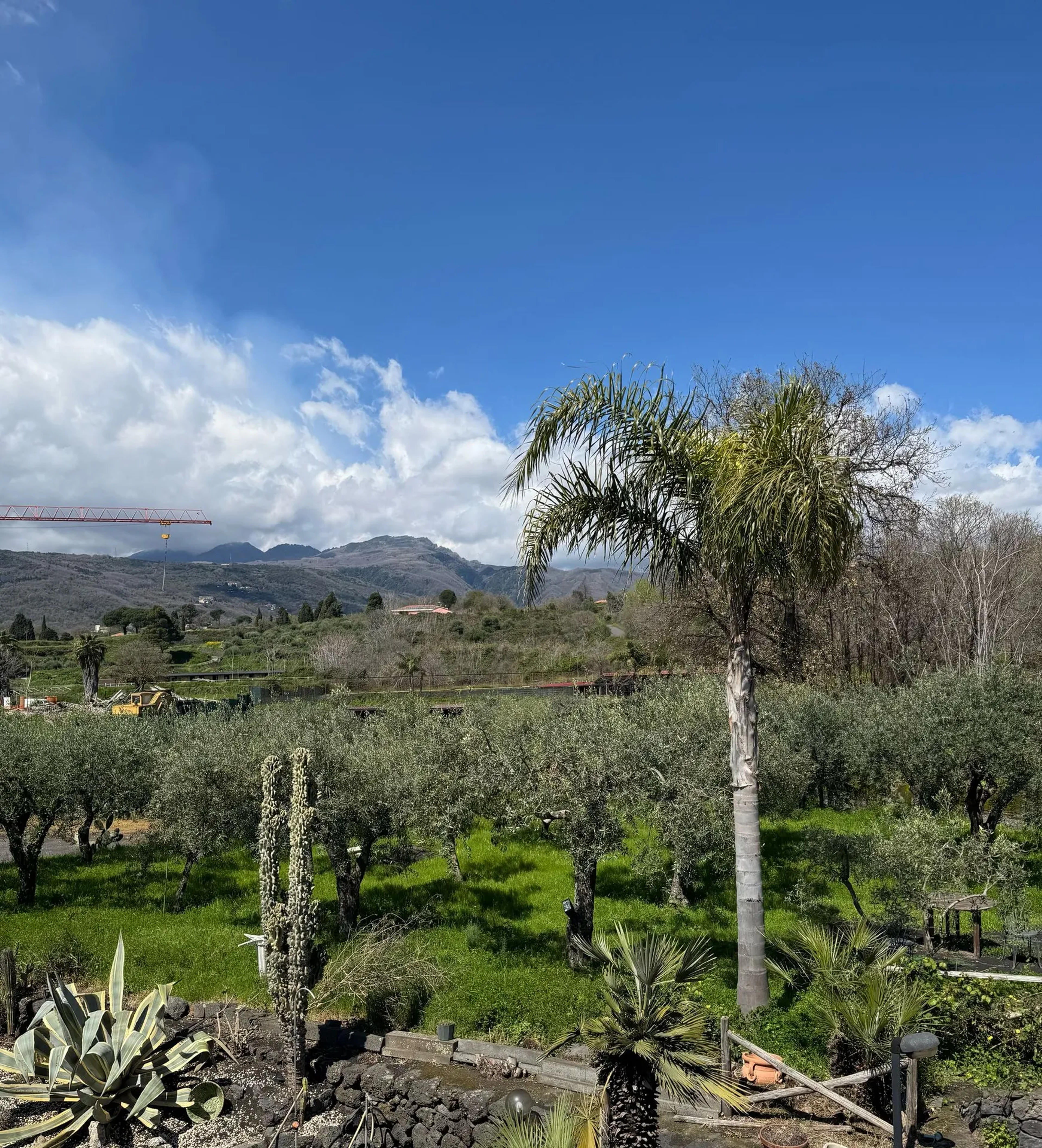 Zest house — Santa Venerina (foto 14)