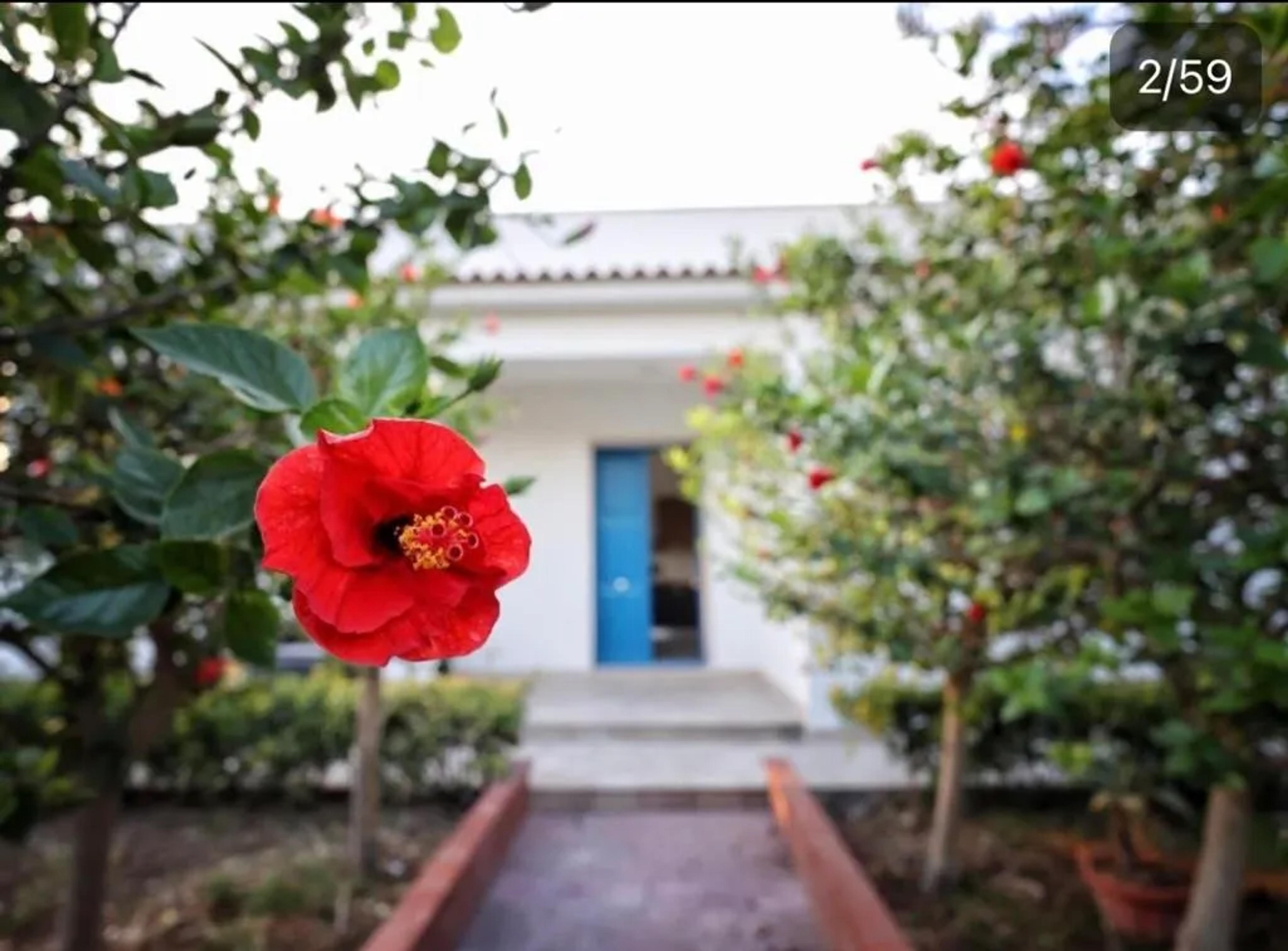 Villa Marzia — Avola (foto 14)