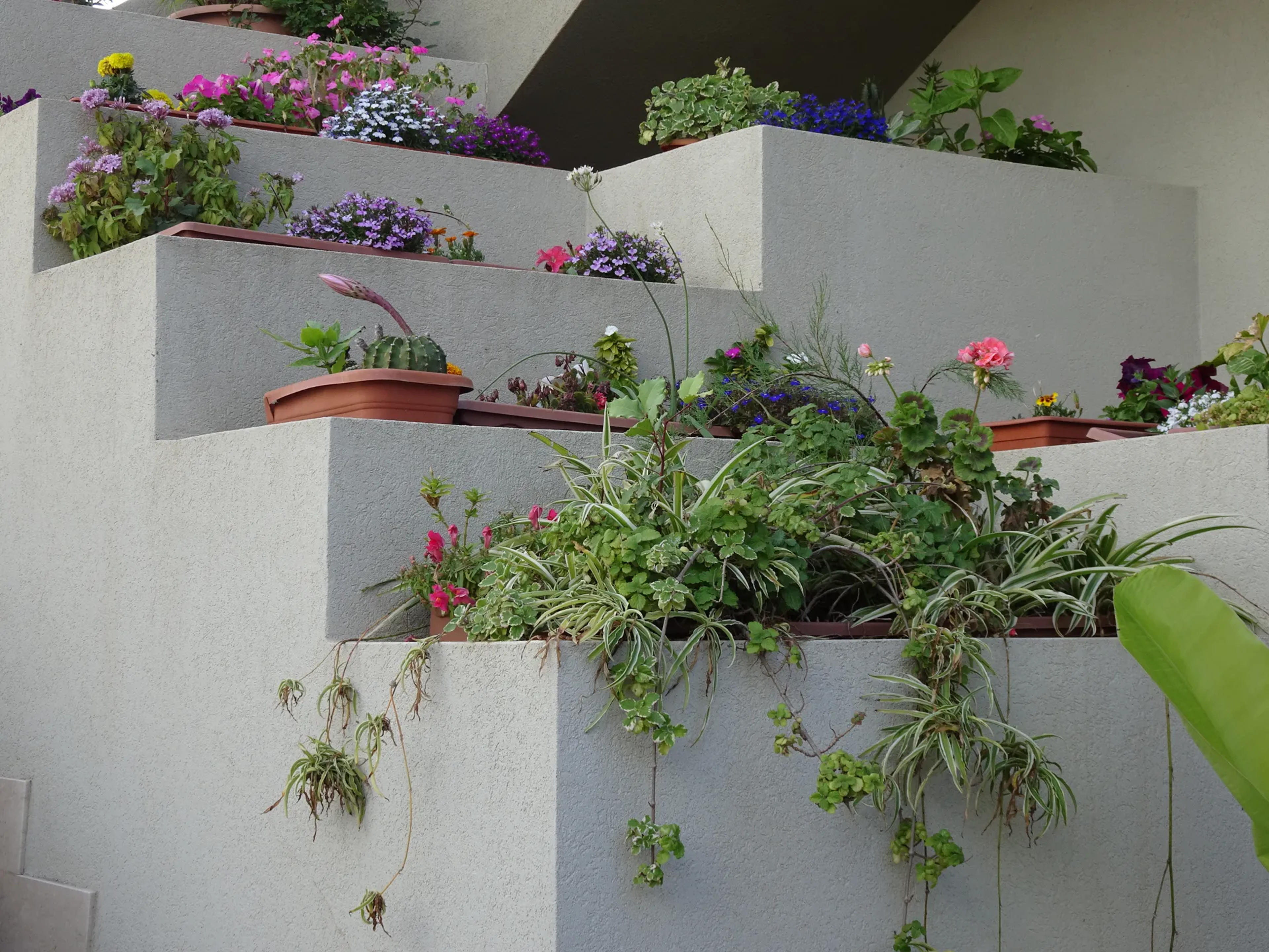 Il Giardino di Enea B&B — Erice (foto 2)