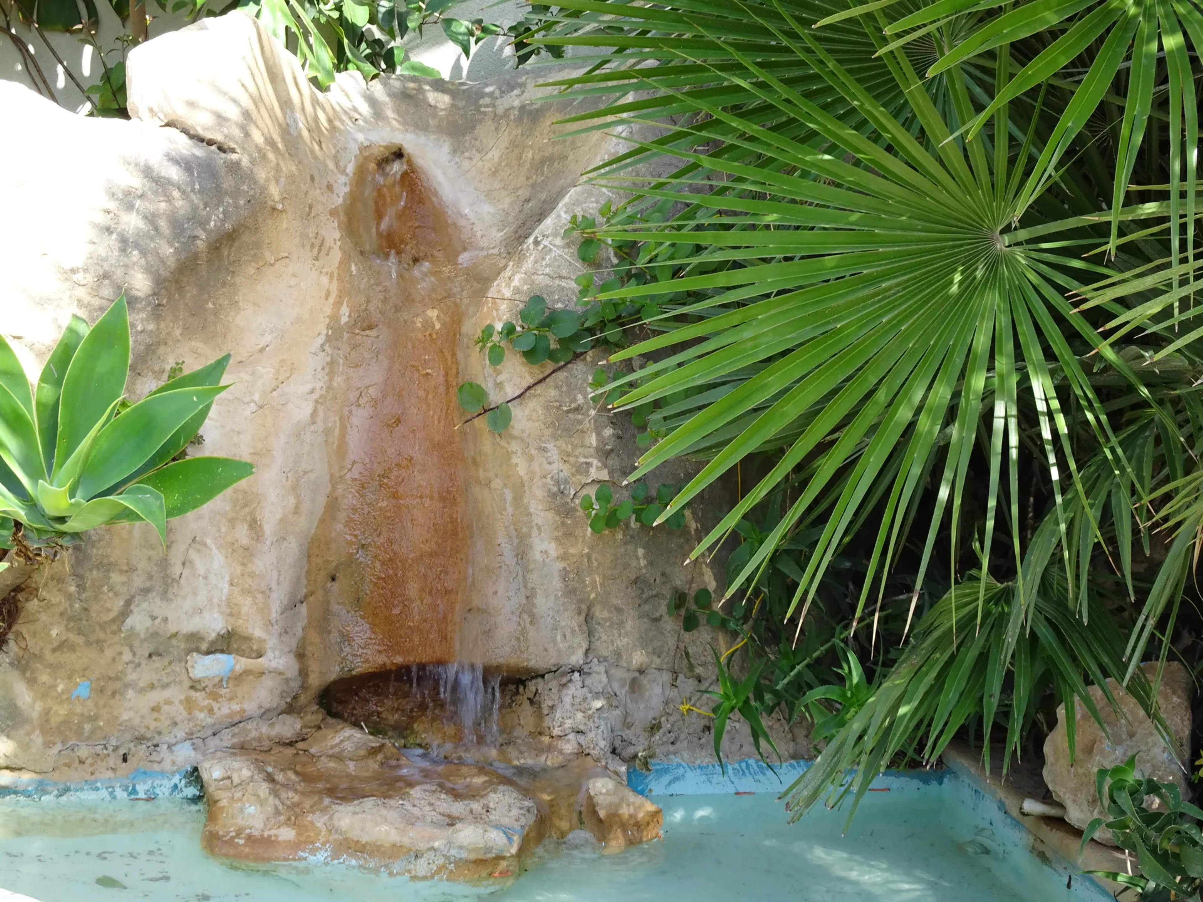 Il Giardino di Enea B&B — Erice (foto 12)