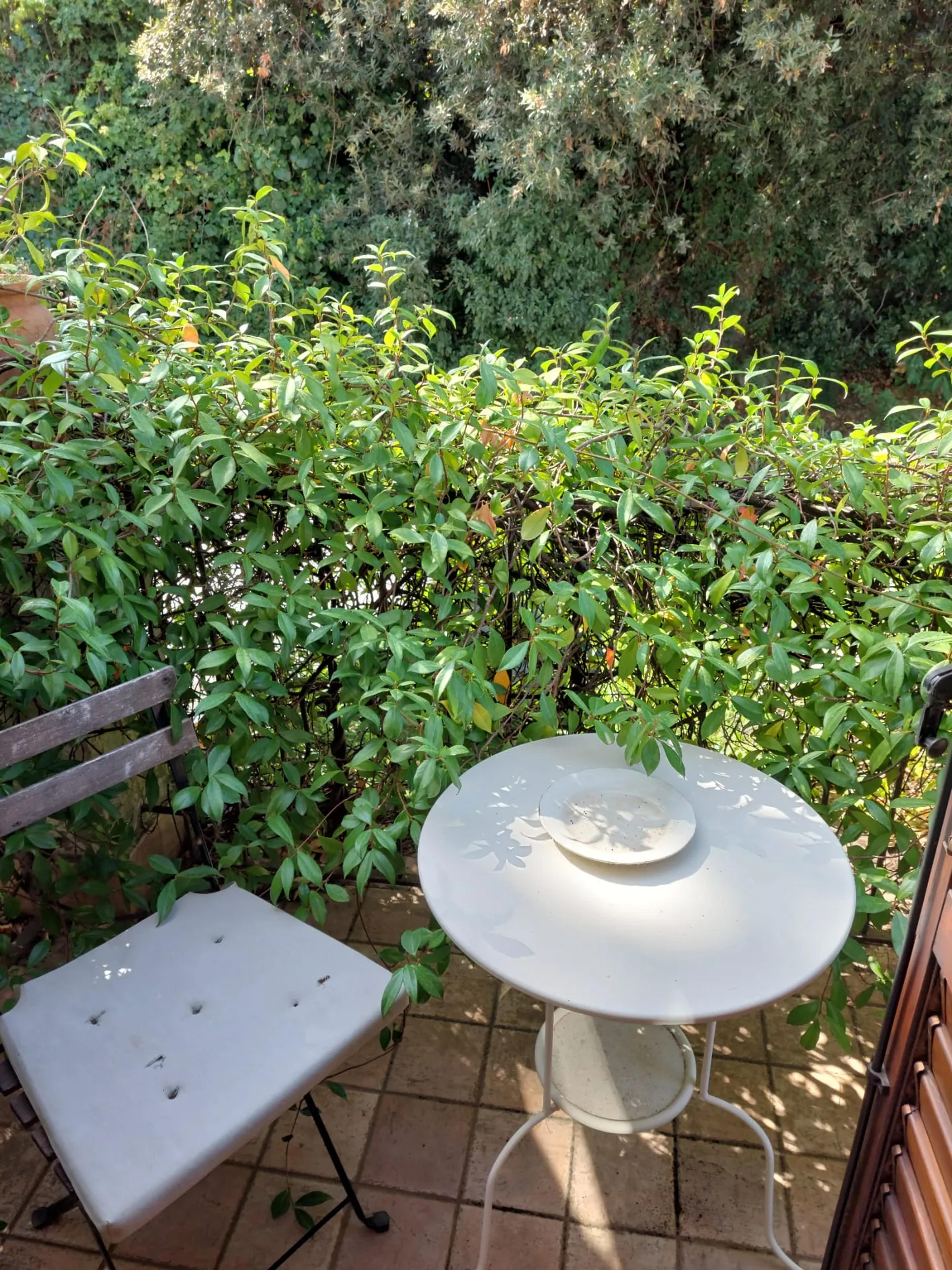 B&B casa delle coccole — Trecastagni (foto 3)