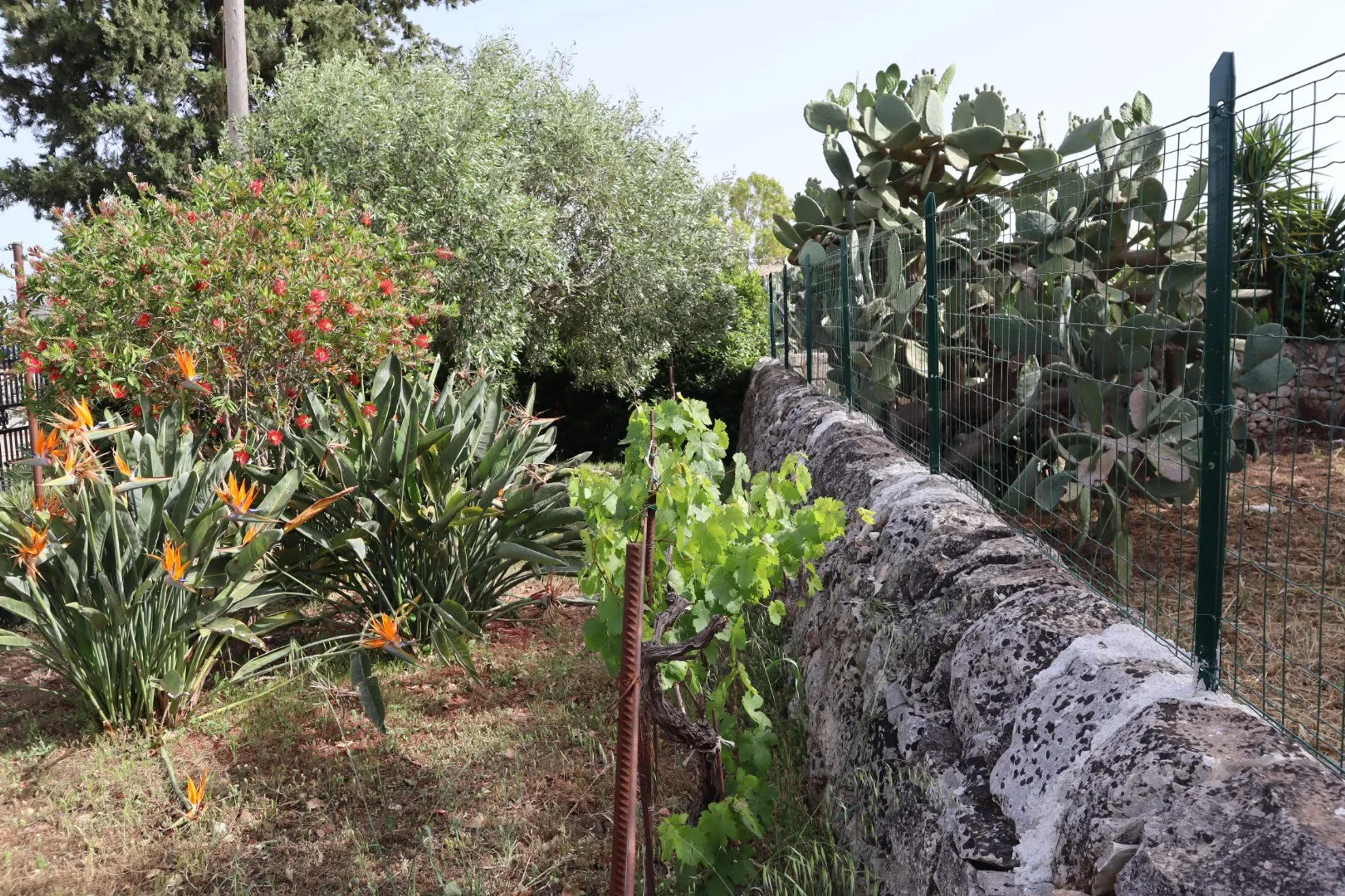 Scicli Country House Il Carrubo — Scicli (foto 7)