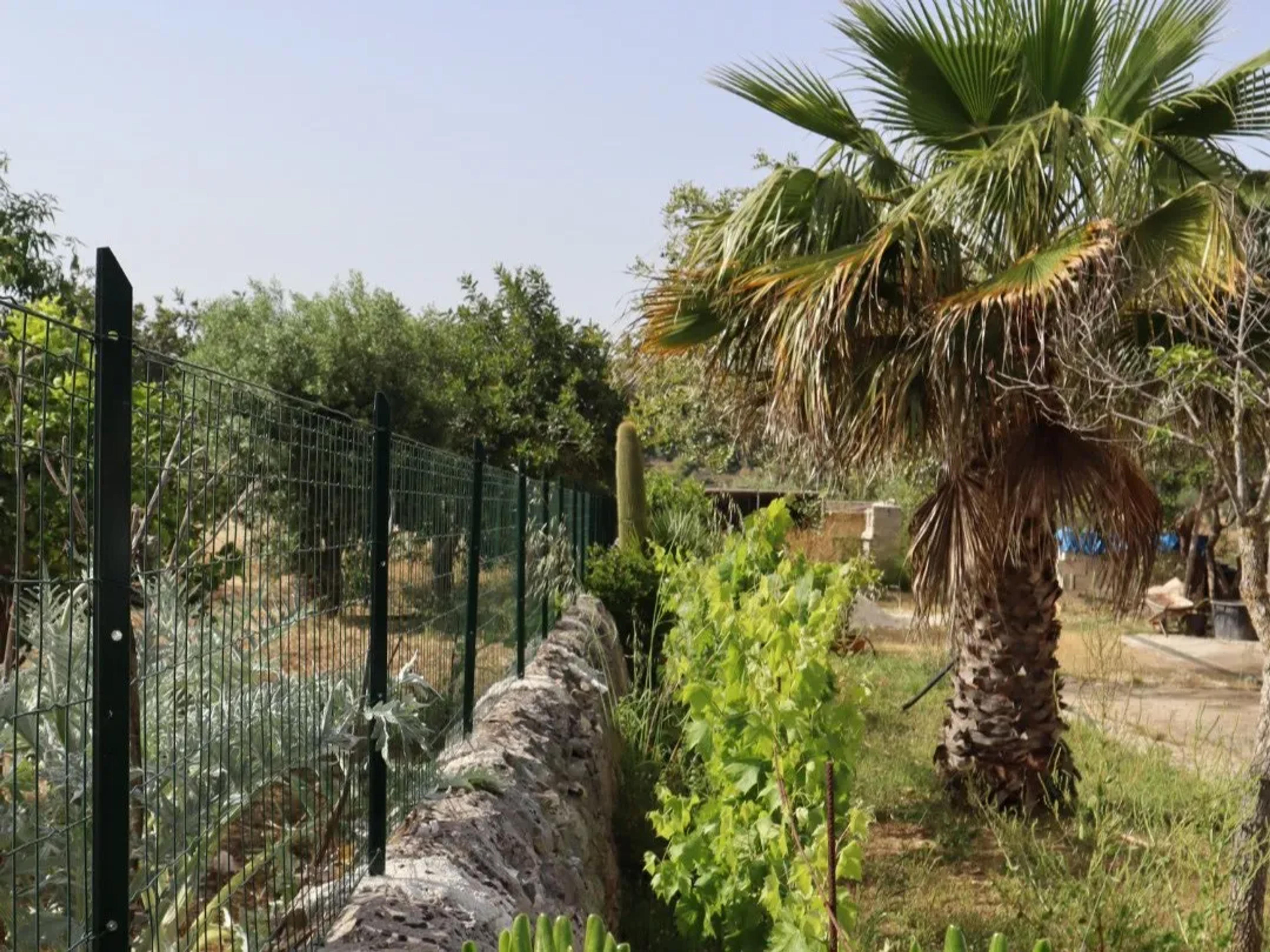 Scicli Country House Il Carrubo — Scicli (foto 13)