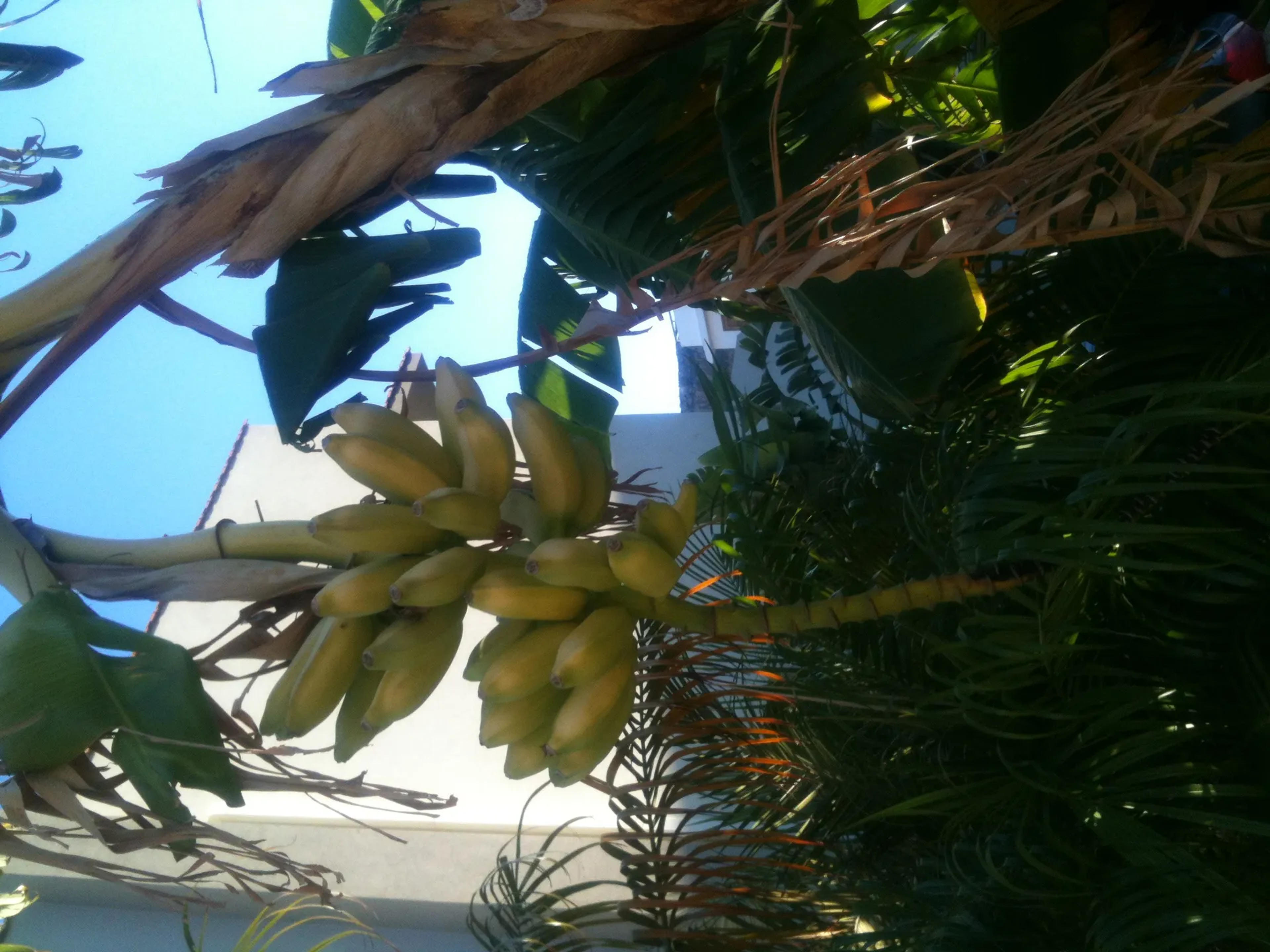 Il Giardino di Enea B&B — Erice (foto 6)