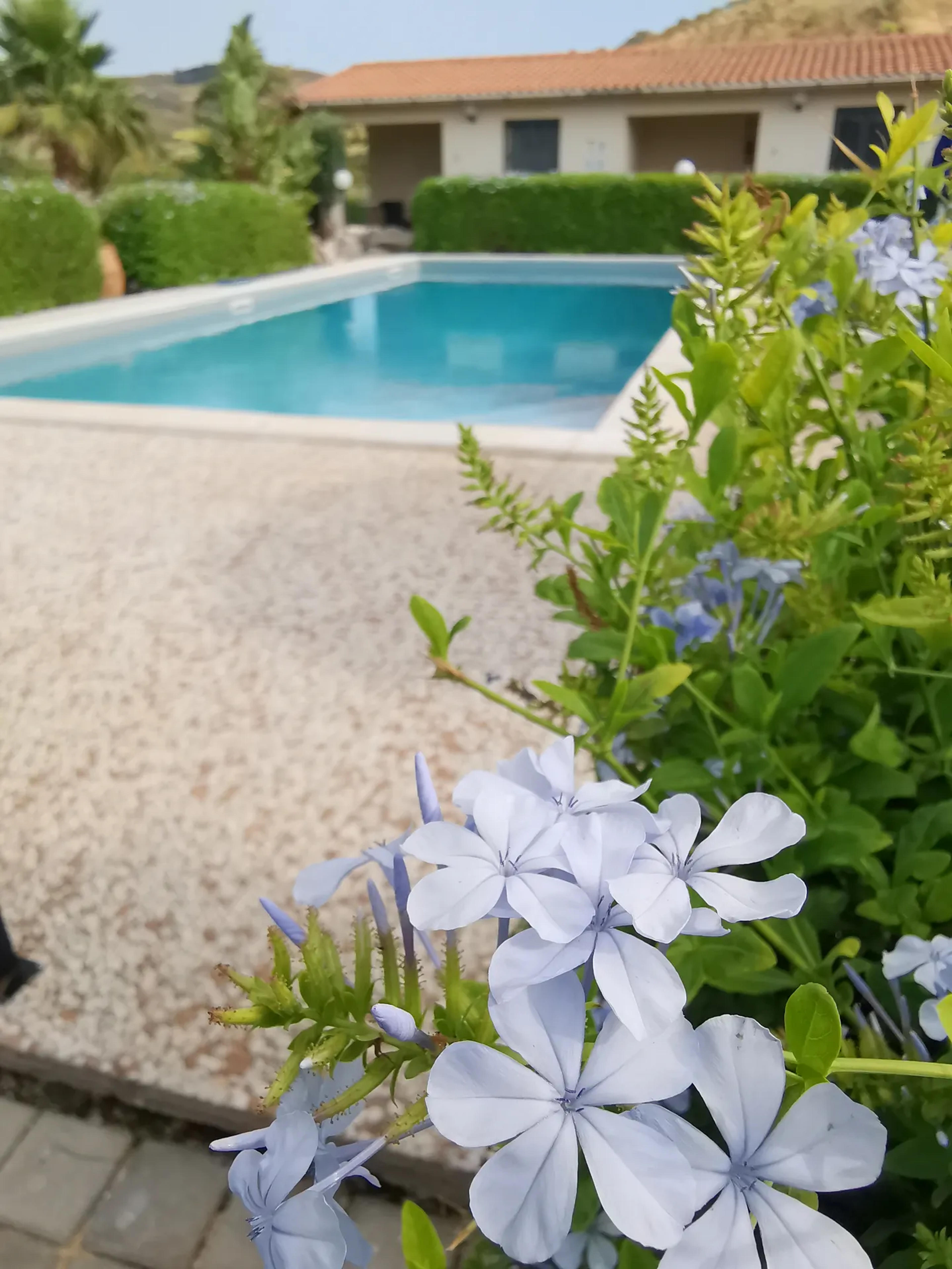 Makara Case Vacanza App 2 — Cattolica Eraclea (foto 28)
