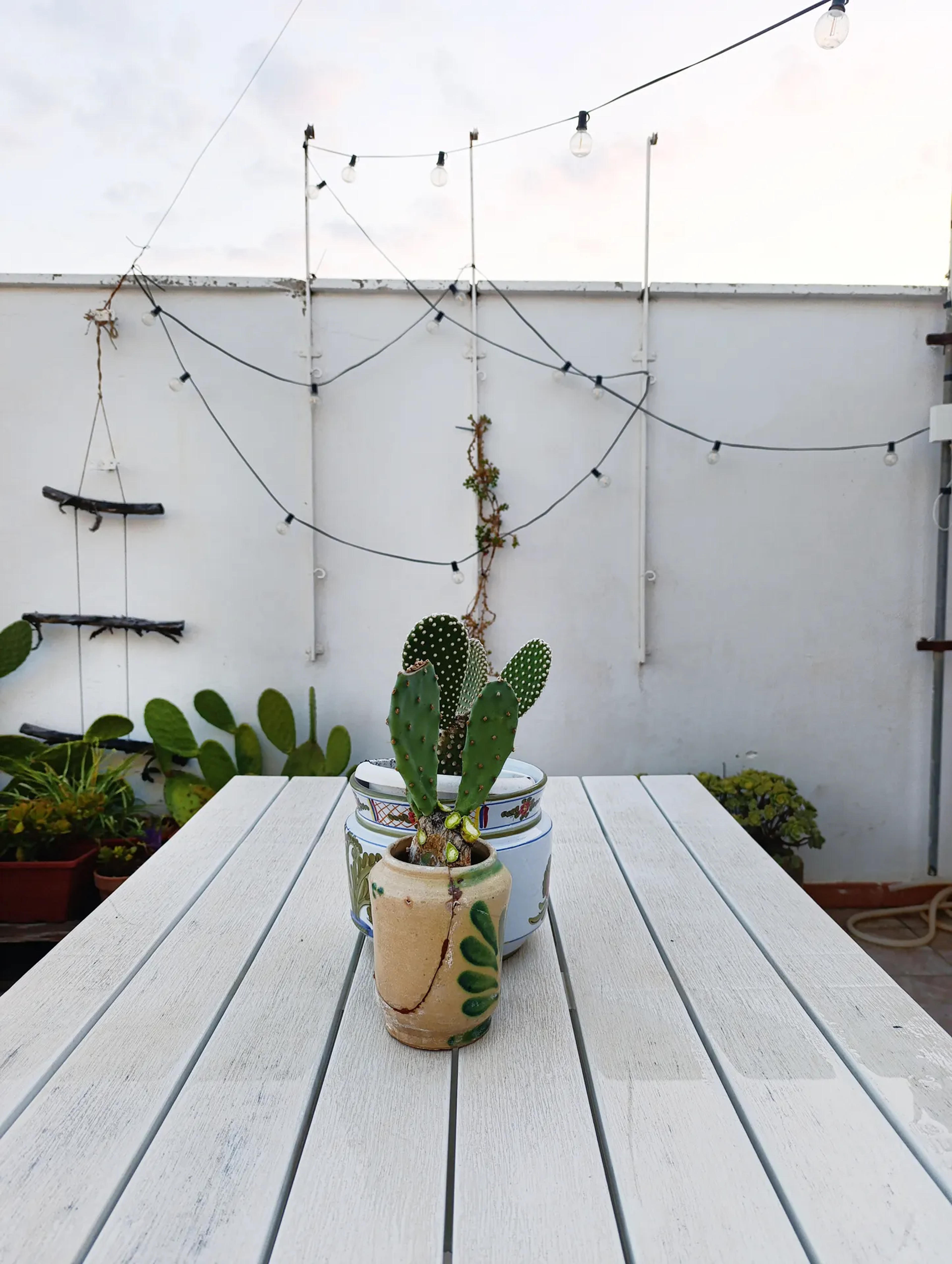 Ficodindiarooms — Sortino (foto 7)