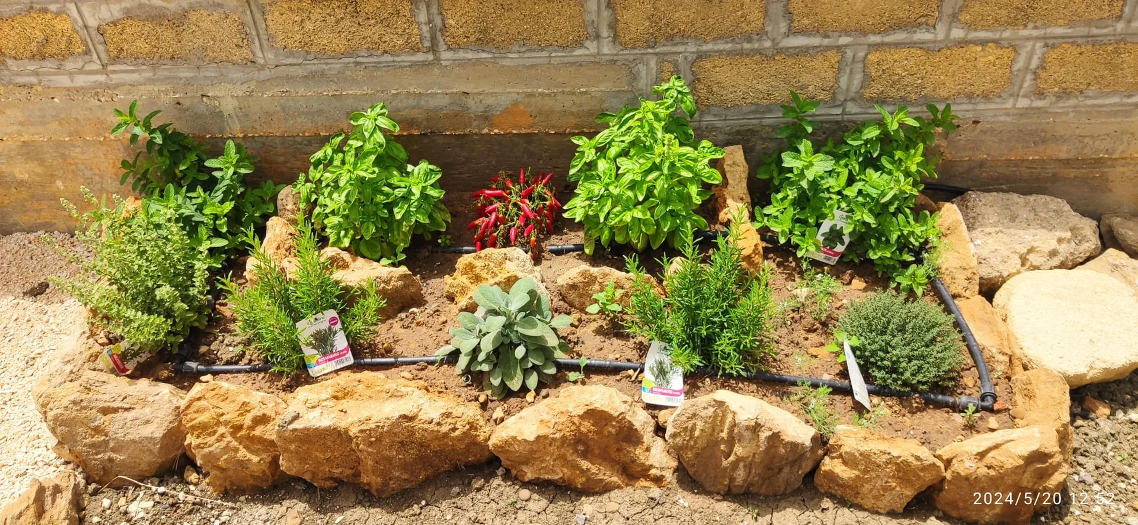 Villa con vista giardino — Menfi (foto 3)