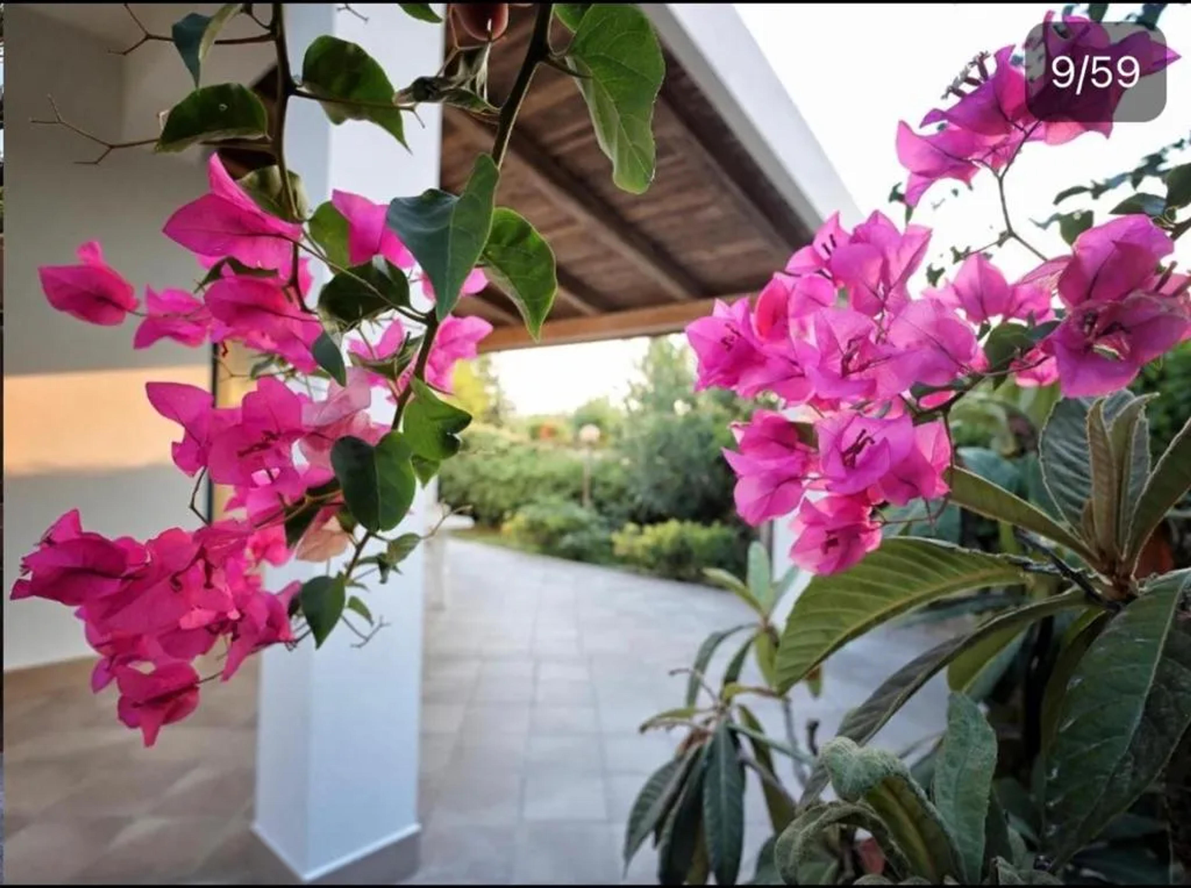 Villa Marzia — Avola (foto 12)