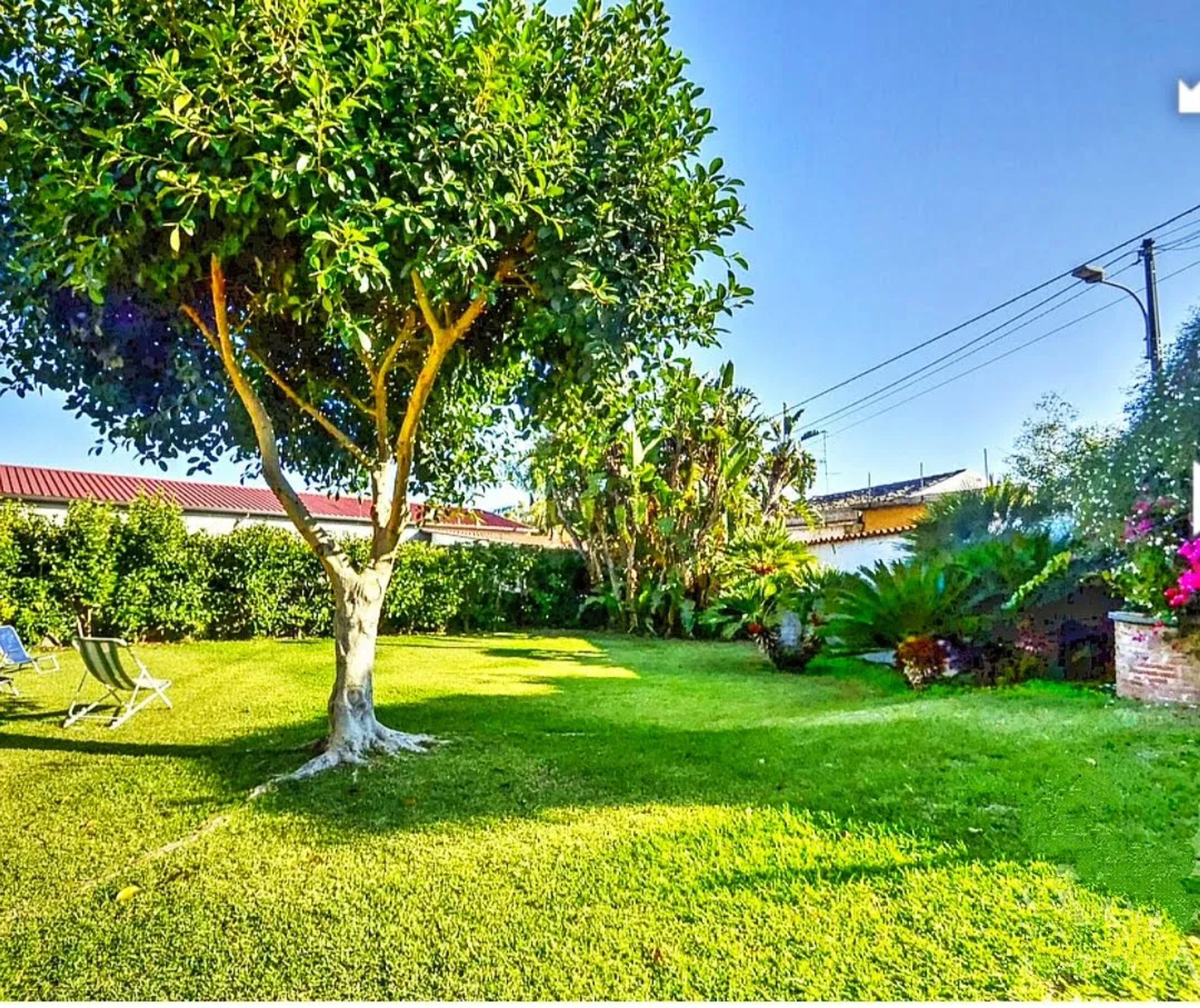 B&B La Casa del Ficus — Acireale (foto 3)