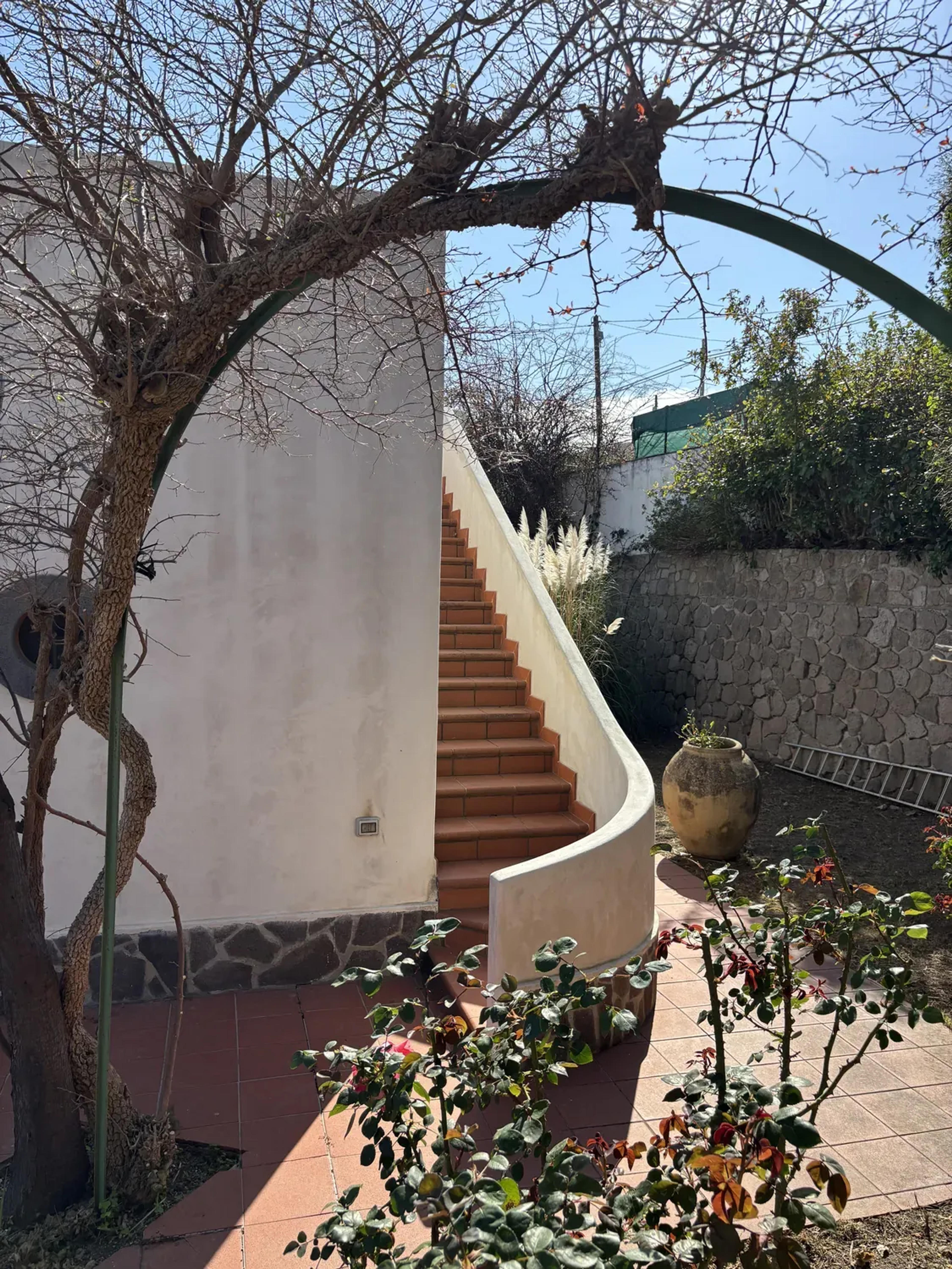 Casa vacanza Olivetta — Lipari (foto 6)