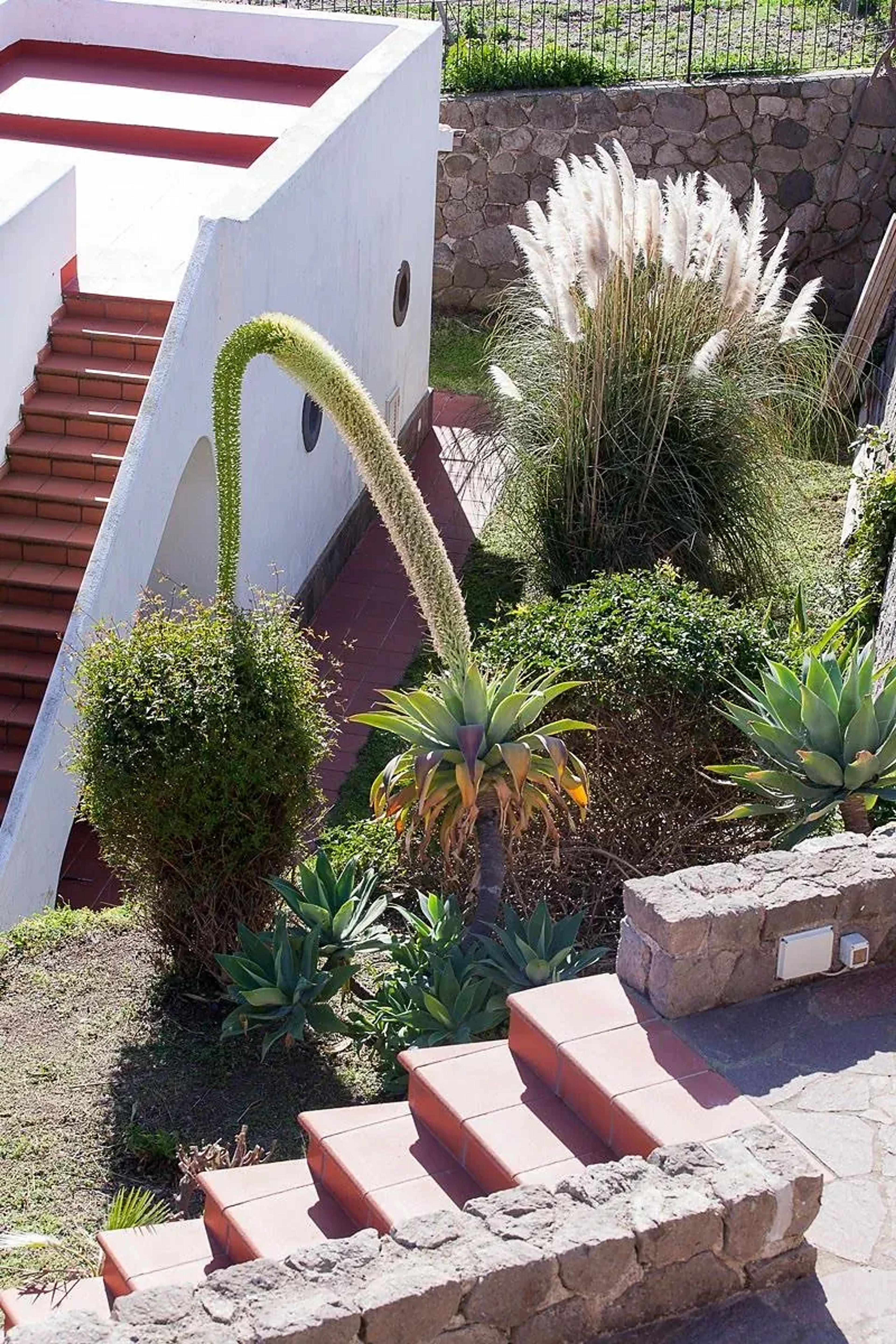 Casa vacanza Olivetta — Lipari (foto 4)