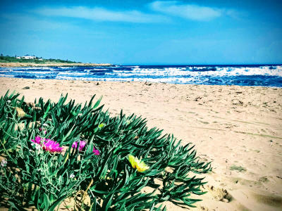 Blue Sea Apartment — casa vacanza a Ragusa